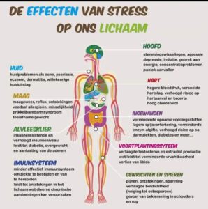 Effecten van stress