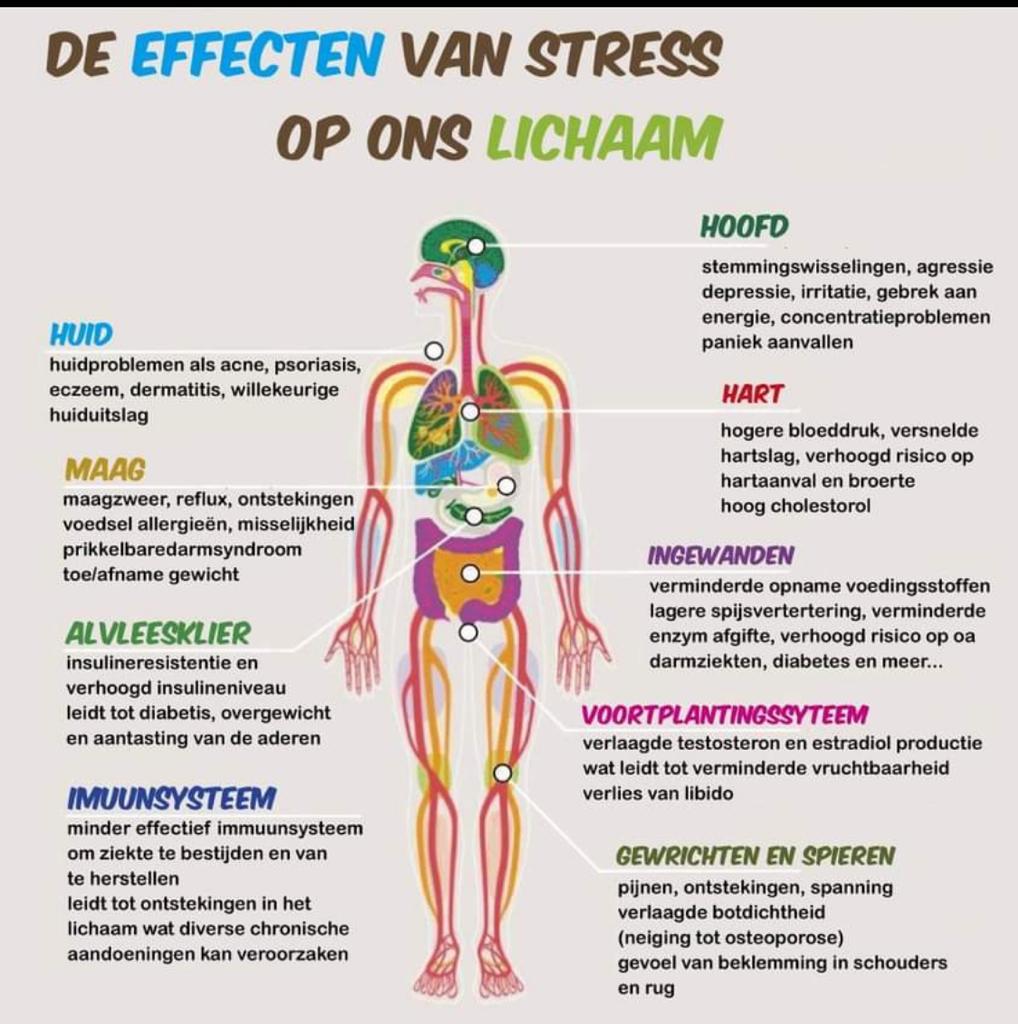 Effecten van stress